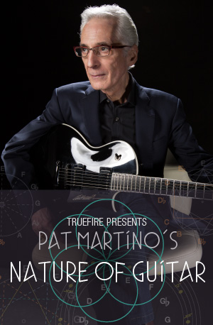 Pat Martino's The Nature of Guitar ジャケット画像